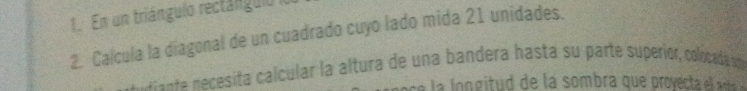 En un triángulo rectángulo 
2. Calcula la diagonal de un cuadrado cuyo lado mida 21 unidades. 
ente necesita calcular la altura de una bandera hasta su parte superiór, colocadaió 
s e la lo n gitud de la sombra que provect a