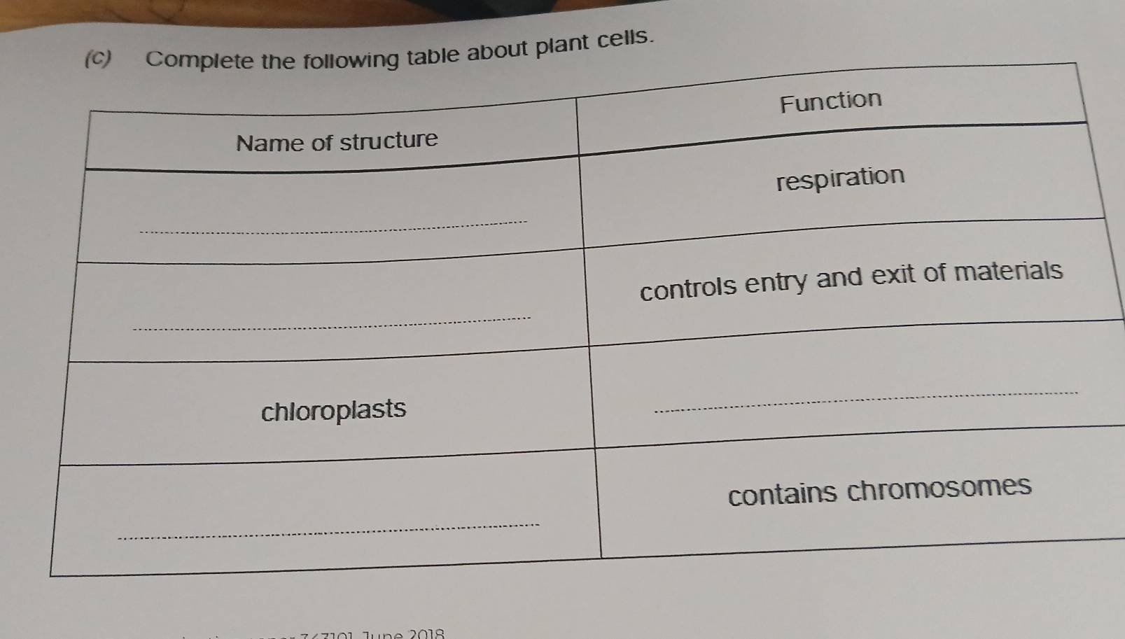 plant cells.