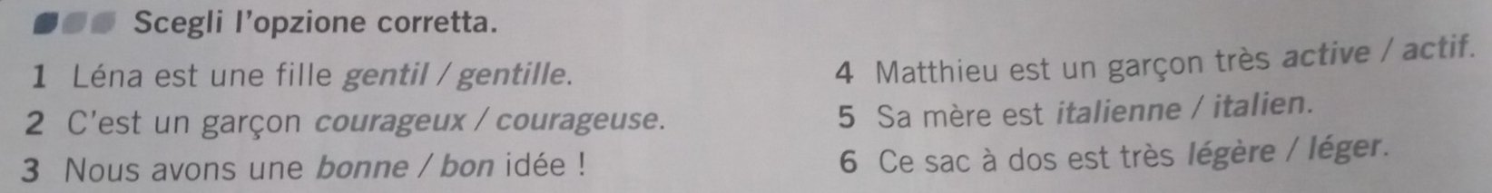●● Scegli l’opzione corretta. 
1 Léna est une fille gentil / gentille. 
4 Matthieu est un garçon très active / actif. 
2 C'est un garçon courageux / courageuse. 
5 Sa mère est italienne / italien. 
3 Nous avons une bonne / bon idée ! 
6 Ce sac à dos est très légère / léger.