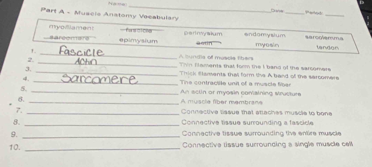 Name: _Oate_ Perlod
Part A - Muscie Anatomy Vocabulary
_
myofliament -fascicle perimysium endomysium sarcolemma
saréomère epimysium actin myosin tendon
1. _A bundla of muscle fibers
2. _Thin filaments that form the I band of the sarcomere
3. _Thick filaments that form the A band of the sarcomere
4、 _The contractile unit of a muscle fiber
5. _An actin or myosin containing structure
6. _A muscle fiber membrane
7. _Connective tissue that attaches muscle to bone
8._
Connective tissue surrounding a fascicle
9. _Connective tissue surrounding the entire muscle
10. _Connective tissue surrounding a single muscle cell