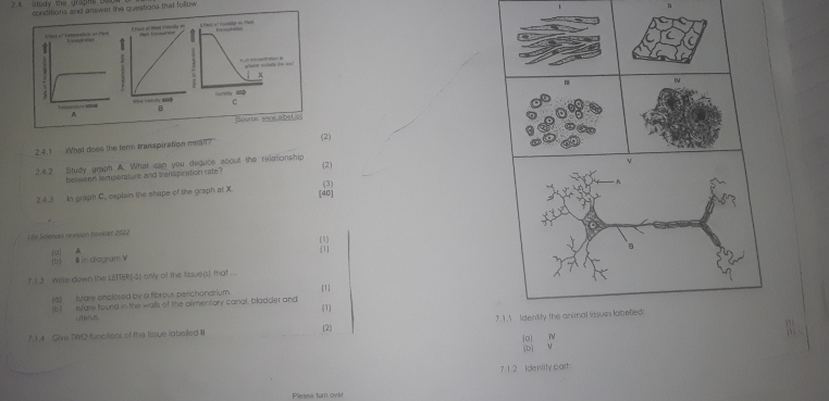 > aludy the grapns condrtions and answer the questions that fullow 

W 
- 
B 
A 
(Sourne, awny albetio) 
2.4.1 What does the term transpiration mean? 
(2) 
2.6.2 Study graph A. What can you deduce about the relationship (2) 
v 
bellween temperature and transpication rate? 
2.4.3 In graph C, explain the shape of the graph at X. 
[40] (3) 
Life Sciences revision bookler 2022 
(1) 
Ib] B in diagram V () A 
1 
? 1.3 Wille down the LETTER(-S) only of the fssue(s) that ... 
(a) Isfare enclosed by a fibrous perichandrium |1| 
(6) sare found in the walls of the olimentory canal, bladder and (1) 
ut6n,s. 
7.1.4 Give TWO functions of the tissue labelled III (2) 7.1.1 Identity the animal lissues lobelied. 
io Ⅳ 
[D] ν 
7 1.2 Identily part 
Pleass turn over