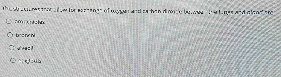 The structures that allow for exchange of oxygen and carbon dioxide between the lungs and blood are
bronchioles
bronchi
alveoli
epiglottis