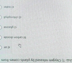 」ə1e (ə 
KoJοju> (ς 
əsoɔn|6 (ɔ 
рιхοιр иоqιеɔ (q 
jie e 
οц səшο> ςиеd んq рəsеəə иəбんхσ (ι τς