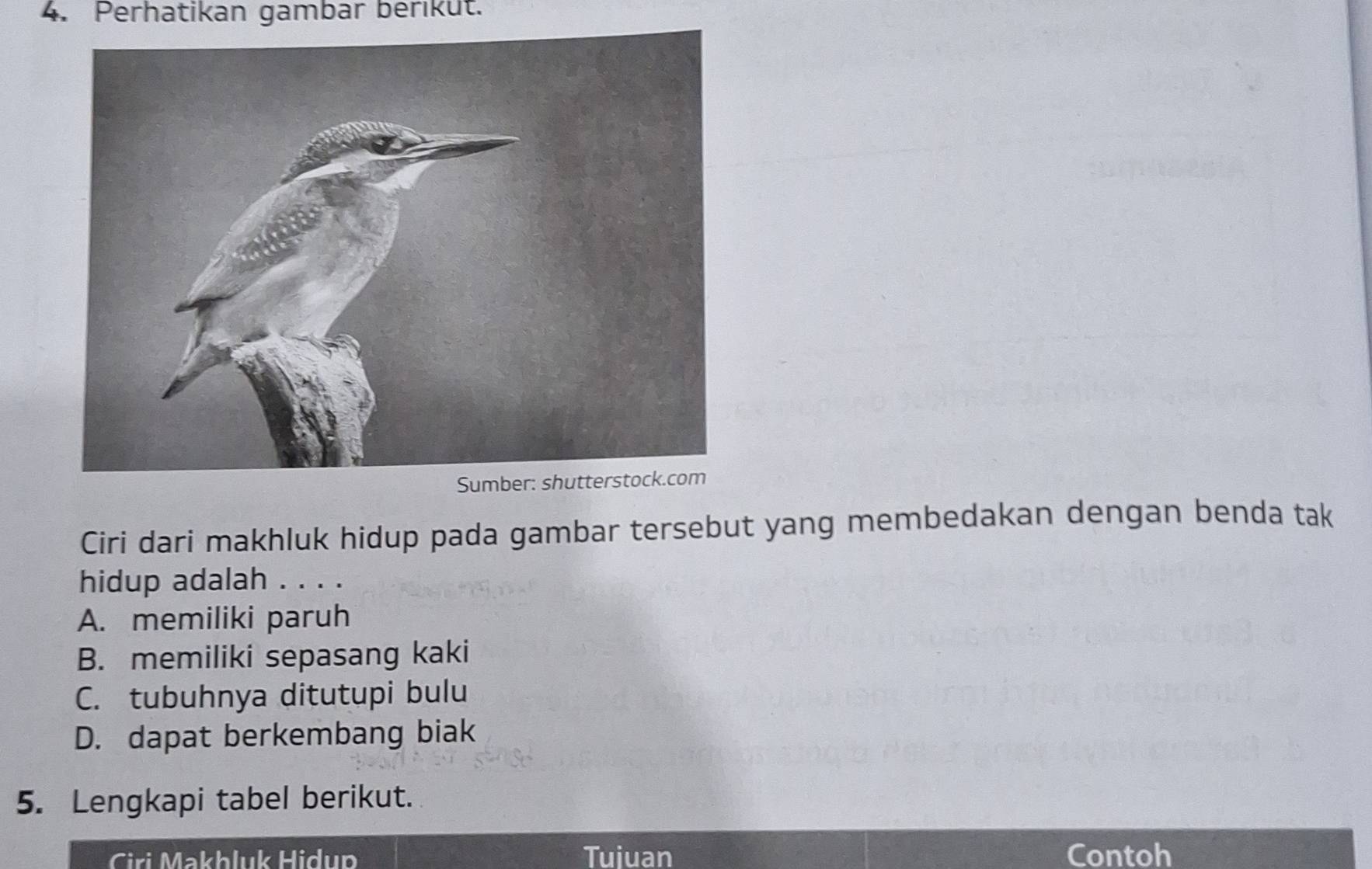 Perhatikan gambar berikut.
Ciri dari makhluk hidup pada gambar tersebut yang membedakan dengan benda tak
hidup adalah . . . .
A. memiliki paruh
B. memiliki sepasang kaki
C. tubuhnya ditutupi bulu
D. dapat berkembang biak
5. Lengkapi tabel berikut.
Ciri Makhluk Hidup Tuiuan Contoh