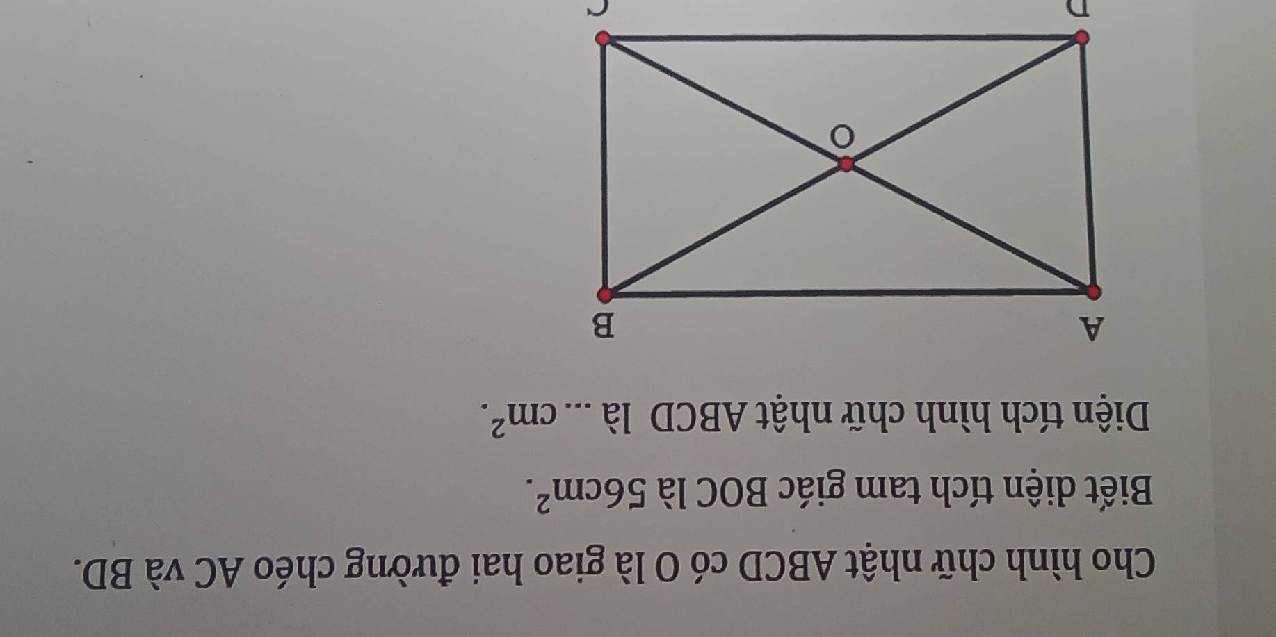 Cho hình chữ nhật ABCD có O là giao hai đường chéo AC và BD. 
Biết diện tích tam giác BOC là 56cm^2. 
Diện tích hình chữ nhật ABCD là ... cm^2.