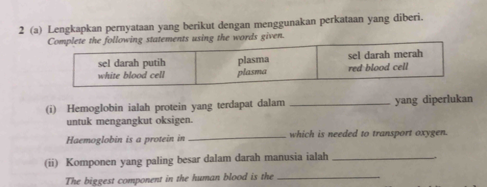 2 (a) Lengkapkan pernyataan yang berikut dengan menggunakan perkataan yang diberi. 
using the words given. 
(i) Hemoglobin ialah protein yang terdapat dalam _yang diperlukan 
untuk mengangkut oksigen. 
Haemoglobin is a protein in _which is needed to transport oxygen. 
(ii) Komponen yang paling besar dalam darah manusia ialah_ 
. 
The biggest component in the human blood is the_