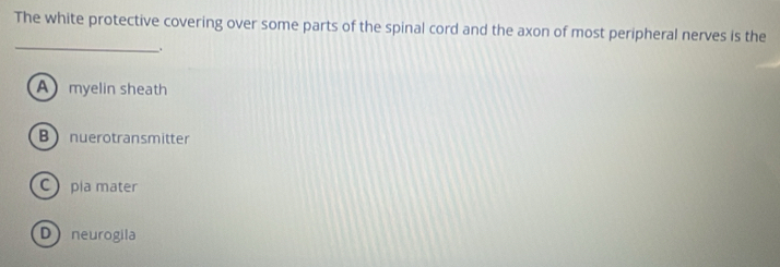 The white protective covering over some parts of the spinal cord and the axon of most peripheral nerves is the
_.
A myelin sheath
B nuerotransmitter
C pla mater
Dneurogila