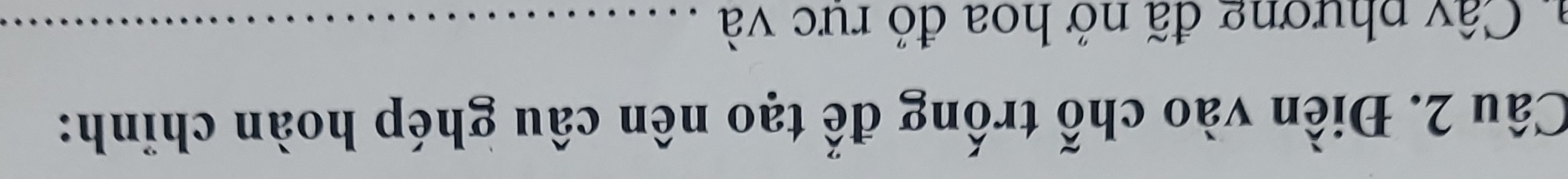 Điền vào chỗ trống đế tạo nên câu ghép hoàn chỉnh: 
a. Cây phương đã nở hoa đỏ rưc và_