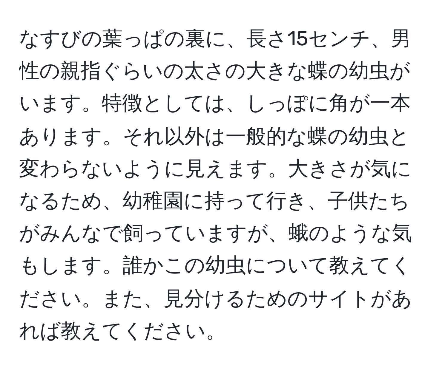 なすびの葉っぱの裏に、長さ15センチ、男性の親指ぐらいの太さの大きな蝶の幼虫がいます。特徴としては、しっぽに角が一本あります。それ以外は一般的な蝶の幼虫と変わらないように見えます。大きさが気になるため、幼稚園に持って行き、子供たちがみんなで飼っていますが、蛾のような気もします。誰かこの幼虫について教えてください。また、見分けるためのサイトがあれば教えてください。