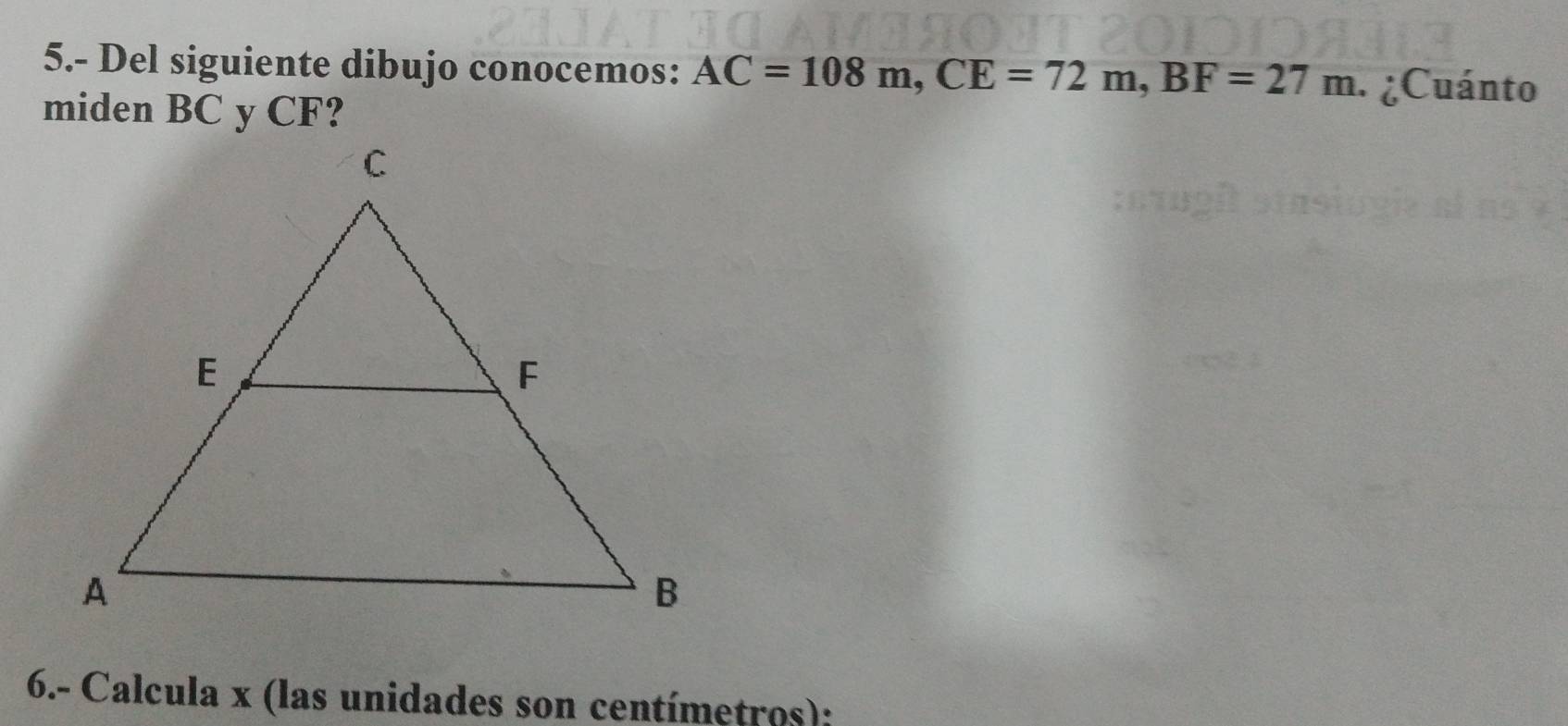 5.- Del siguiente dibujo conocemos: AC=108m, CE=72m, BF=27m ¿Cuánto 
miden BC y CF? 
6.- Calcula x (las unidades son centímetros):