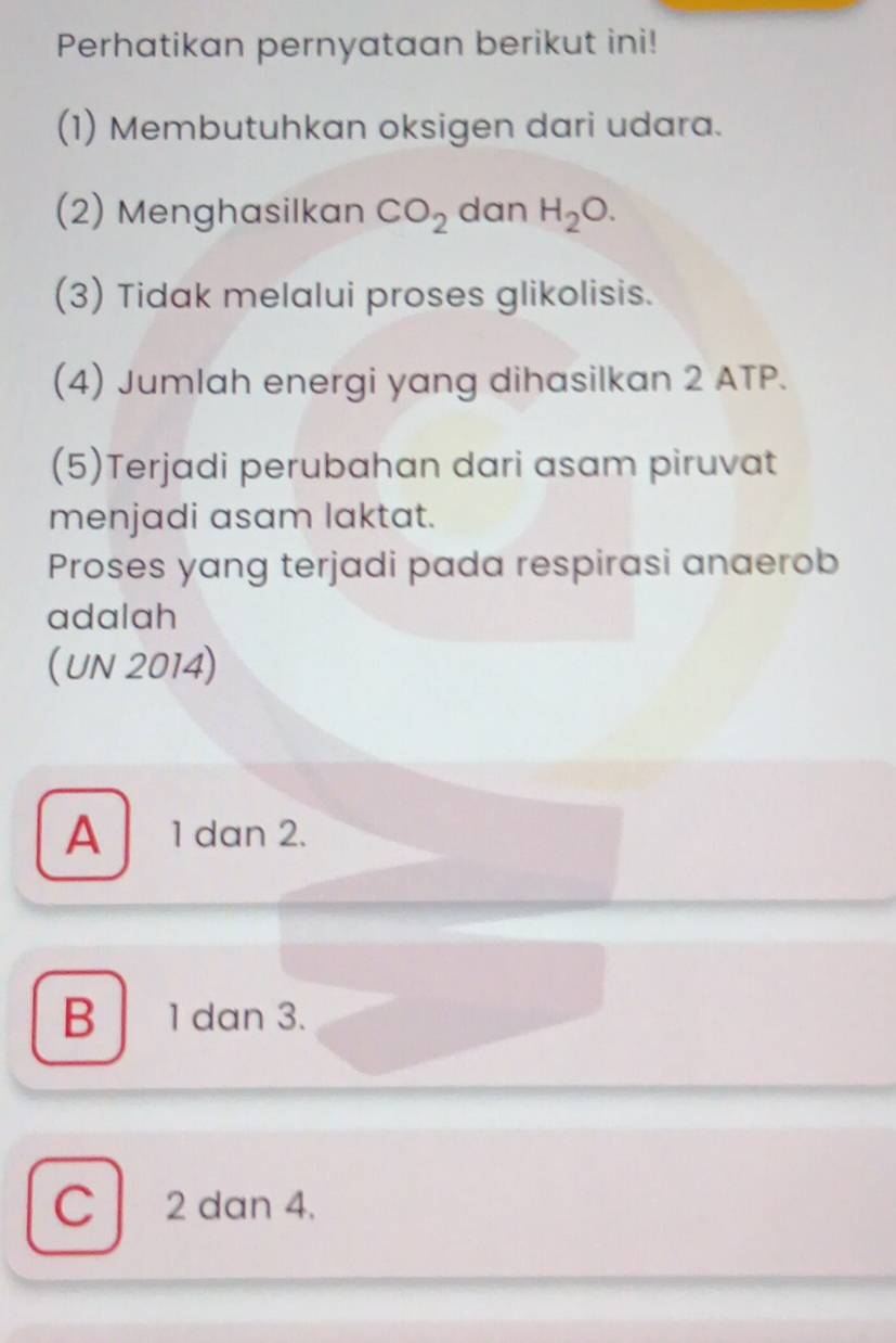 Perhatikan pernyataan berikut ini!
(1) Membutuhkan oksigen dari udara.
(2) Menghasilkan CO_2 dan H_2O. 
(3) Tidak melalui proses glikolisis.
(4) Jumlah energi yang dihasilkan 2 ATP.
(5)Terjadi perubahan dari asam piruvat
menjadi asam laktat.
Proses yang terjadi pada respirasi anaerob
adalah
(UN 2014)
A 1 dan 2.
B 1 dan 3.
C 2 dan 4.