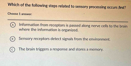 Which of the following steps related to sensory processing occurs first?
Choose 1 answer:
A Information from receptors is passed along nerve cells to the brain
where the information is organized.
Sensory receptors detect signals from the environment.
The brain triggers a response and stores a memory.