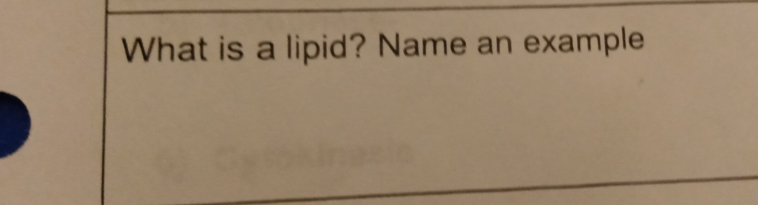 What is a lipid? Name an example