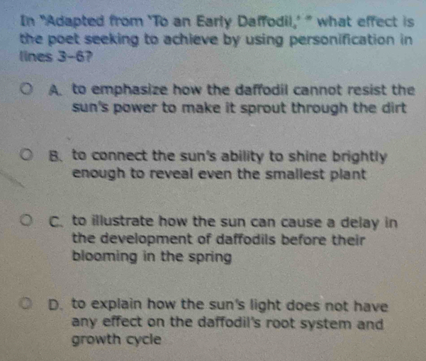 In "Adapted from ‘To an Early Daffodil,’ " what effect is
the poet seeking to achieve by using personification in 
lines 3-67
A. to emphasize how the daffodil cannot resist the
sun's power to make it sprout through the dirt
B. to connect the sun's ability to shine brightly
enough to reveal even the smallest plant
C. to illustrate how the sun can cause a delay in
the development of daffodils before their
blooming in the spring
D. to explain how the sun's light does not have
any effect on the daffodil's root system and
growth cycle