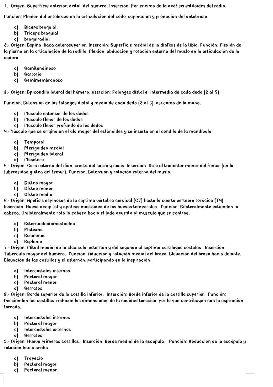 1 .- Origen: Superficie anterior, distal, del húmero. Inserción: Por encima de la apófisis estiloides del radio.
Función: lexión del antebrazo en la articulación del codo, supinación y pronación del antebrazo.
a) Biceps braquial
b) Triceps braquial
c) braquiradial
2.- Origen: Espina iliaca anterosuperior. Inserción: Superficie medial de la diáfisis de la tibia. Función: Flexión de
la pierna en la articulación de la rodilla. Flexión, abducción y rotación externa del muslo en la articulación de la
cadera.
a) Samitendinoso
b) Sartorio
c) Semimembranoso
* 3.- Origen: Epicóndilo lateral del húmero.Inserción: Palanges distal e intermedia de cada dedo (2 al 5).
Función: Extensión de las falanges distal y media de cada dedo (2 al 5), así como de la mano.
a) Musculo extensor de los dedos
b) Musculo flexor de los dedos
c) Musculo flexor profundo de los dedos
4.-Músculo que se origina en el ala mayor del esfenoides y se inserta en el cóndilo de la mandíbula.
a) Temporal
b) Pterigoideo medial
c) Pterigoideo lateral
d) Masetero
5.- Origen: Cara externa del ilión, cresta del sacro y coxis. Inserción: Bajo el trocánter menor del fémur (en la
tuberosidad glútea del fémur). Función: Extensión y rotación externa del muslo.
a) Glúteo mayor
b) Glúteo menor
c) Blúteo medio
6.- Origen: Apófisis espinosas de la séptima vértebra cervical (C7) hasta la cuarta vértebra torácica (T4).
Inserción: Hueso occipital y apófisis mastoidea de los huesos temporales. Función: Bilateralmente extienden la
cabeza. Unilateralmente rota la cabeza hacia el lado opuesto al músculo que se contrae.
a) Esternocleidomastoideo
b) Platisma
c) Escalenos
d) Esplenio
7.- Origen: Mitad medial de la clavícula, esternón y del segundo al séptimo cartílagos costales. Inserción:
Tubérculo mayor del húmero. Función: Aducción y rotación medial del brazo. Elevación del brazo hacia delante
Elevación de las costillas y el esternón. participando en la inspiración.
a) Intercostales internos
b) Pectoral mayor
c) Pectoral menor
d) Serralos
8.- Origen: Borde superior de la costilla inferior. Inserción: Borde inferior de la costilla superior. Función:
Descienden las costillas, reducen las dimensiones de la cavidad torácica, por lo que contribuyen con la espiración
foreada.
a) Intercostales internos
b) Pectoral mayor
c) Intercostales externos
d) Serralos
9.- Origen: Nueve primeras costillas. Inserción: Borde medial de la escápula. Función: Abducción de la escápula y
rotación hacia arriba.
a) Trapecio
b) Pectoral mayor
c) Pectoral menor