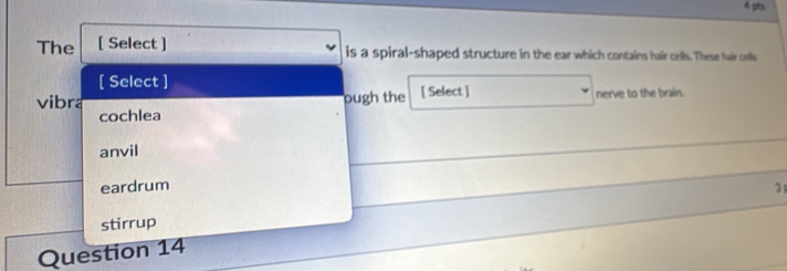 gts
The [ Select ] is a spiral-shaped structure in the ear which contains hair cells. These hair corlls
[ Select ]
vibra pugh the [ Select ] nerve to the brain.
cochlea
anvil
eardrum 3
stirrup
Question 14