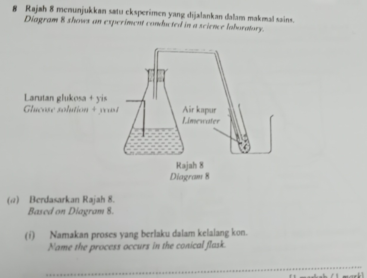 Rajah 8 menunjukkan satu eksperimen yang dijalankan dalam makmal sains. 
Diagram 8 shows an experiment conducted in a science laboratory. 
(@) Berdasarkan Rajah 8. 
Based on Diagram 8. 
(f) Namakan proses yang berlaku dalam kelalang kon. 
Name the process occurs in the conical flask.