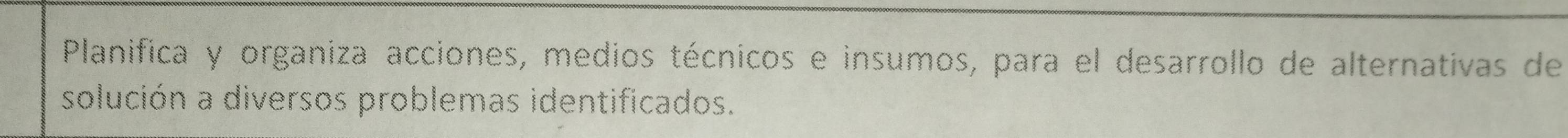 Planifica y organiza acciones, medios técnicos e insumos, para el desarrollo de alternativas de 
solución a diversos problemas identificados.