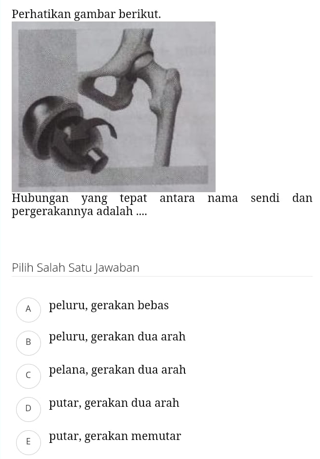 Perhatikan gambar berikut.
Hubungan yang tepat antara nama sendi dan
pergerakannya adalah ....
Pilih Salah Satu Jawaban
A peluru, gerakan bebas
в peluru, gerakan dua arah
c pelana, gerakan dua arah
D putar, gerakan dua arah
E£ putar, gerakan memutar