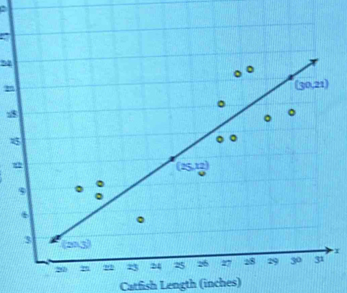 92
18
x
Catfish Length (inches)