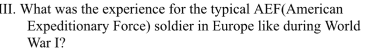 What was the experience for the typical AEF(American 
Expeditionary Force) soldier in Europe like during World 
War I?