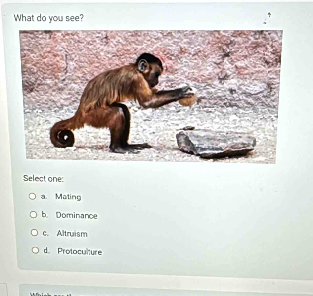 What do you see?
Select one:
a. Mating
b. Dominance
c. Altruism
d. Protoculture