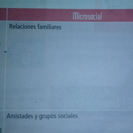 Microsocial 
Relaciones familiares 
Amistades y grupos sociales