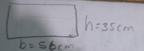 h=35cm
b=56cm