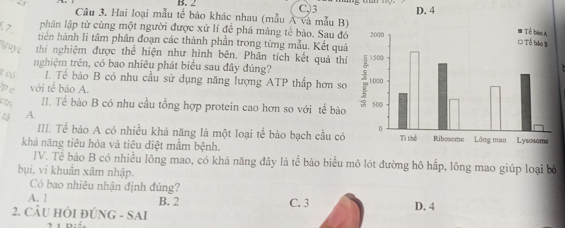 B. 2 C. 3 D. 4
Câu 3. Hai loại mẫu tế bào khác nhau (mẫu A và mẫu B)
, 7.
phân lập từ cùng một người được xử lí để phá màng tế bào. Sau đó
tiến hành li tâm phân đoạn các thành phần trong từng mẫu. Kết quả
nguye thí nghiệm được thể hiện như hình bên. Phân tích kết quả thí
nghiệm trên, có bao nhiêu phát biểu sau đây đúng?
g có I. Tế bào B có nhu cầu sử dụng năng lượng ATP thấp hơn so
pe với tế bào A.
ctr II. Tế bào B có nhu cầu tổng hợp protein cao hơn so với tế bào
tà A.
III. Tế bào A có nhiều khả năng là một loại tế bào bạch cầu có
khả năng tiêu hóa và tiêu diệt mầm bệnh. 
IV. Tế bào B có nhiều lông mao, có khả năng đây là tế bào biểu mô lót đường hô hấp, lông mao giúp loại bộ
bụi, vi khuẩn xâm nhập.
Có bao nhiêu nhận định đúng?
A. 1 B. 2 C. 3 D. 4
2. CÂU HÕI ĐÚNG - SAI