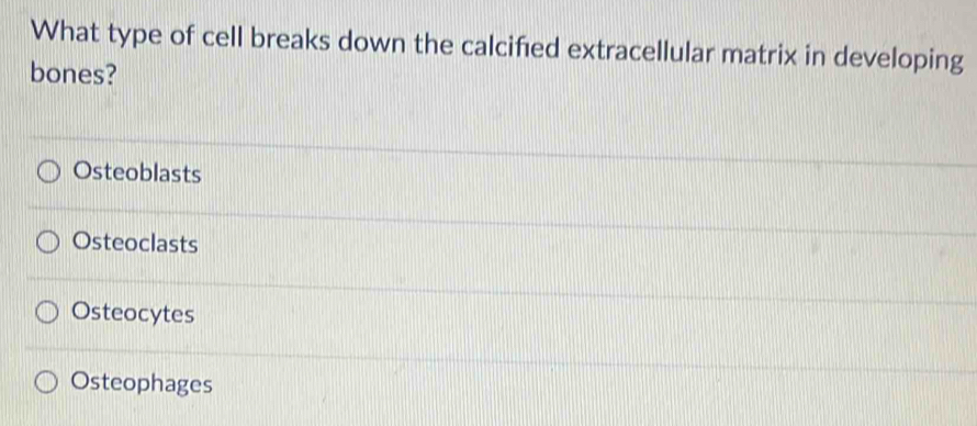 What type of cell breaks down the calcified extracellular matrix in developing
bones?
Osteoblasts
Osteoclasts
Osteocytes
Osteophages