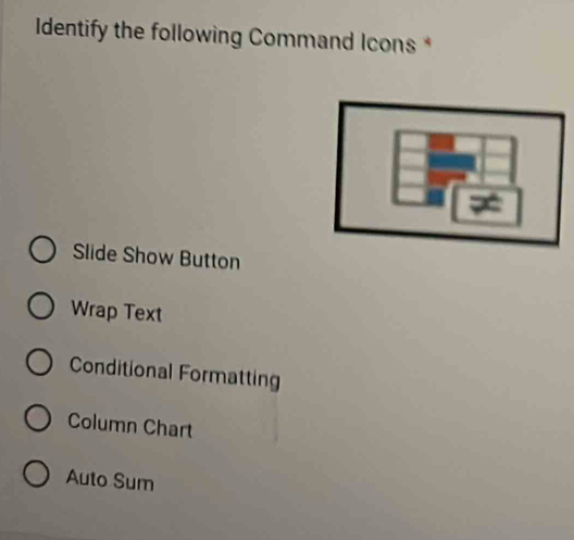 Solved: Identify the following Command Icons * Slide Show Button Wrap ...