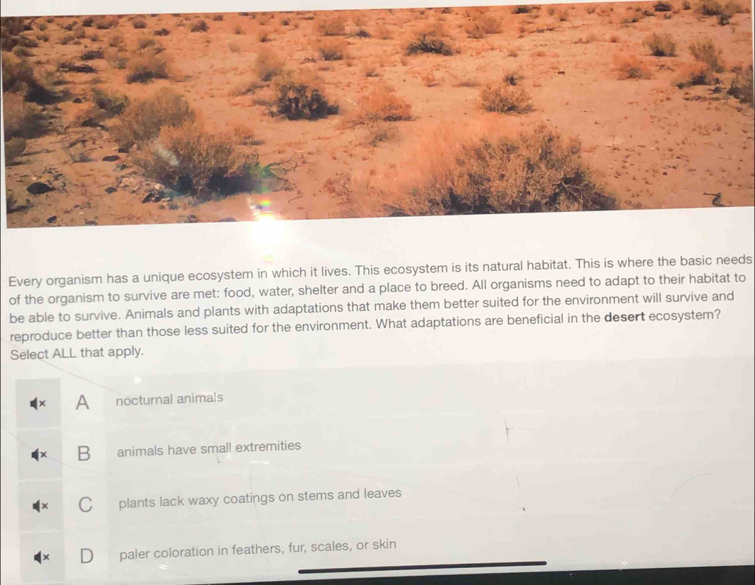 Every organism has a unique ecosystem in which it lives. This ecosystem is its natural habitat. This is where the basic needs
of the organism to survive are met: food, water, shelter and a place to breed. All organisms need to adapt to their habitat to
be able to survive. Animals and plants with adaptations that make them better suited for the environment will survive and
reproduce better than those less suited for the environment. What adaptations are beneficial in the desert ecosystem?
Select ALL that apply.
A nocturnal animals
B animals have small extremities
C plants lack waxy coatings on stems and leaves
paler coloration in feathers, fur, scales, or skin