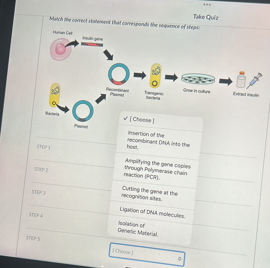 Take Quiz 
Match the correct statement that corresponds the sequ 
_ 
of the 
recombinant DNA into the 
_ 
STEP 1 host. 
_ 
Amplifying the gene copies_ 
STEP 2
through Polymerase chain 
_ 
reaction (PCR). 
_ 
_ 
Cutting the gene at the 
STEP 3
_ 
recognition sites. 
_ 
Ligation of DNA molecules._ 
STEP 4
_ 
Isolation of 
Genetic Material. 
_ 
STEP 5
[ Choose ] 
_