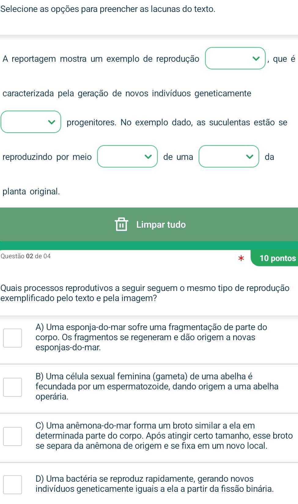 Selecione as opções para preencher as lacunas do texto.
A reportagem mostra um exemplo de reprodução □ , que é
caracterizada pela geração de novos indivíduos geneticamente^(□) progenitores. No exemplo dado, as suculentas estão se
reproduzindo por meio □ vee  de uma □ da
planta original.
Limpar tudo
Questão 02 de 04 10 pontos
Quais processos reprodutivos a seguir seguem o mesmo tipo de reprodução
exemplificado pelo texto e pela imagem?
A) Uma esponja-do-mar sofre uma fragmentação de parte do
□ corpo. Os fragmentos se regeneram e dão origem a novas
esponjas-do-mar.
B) Uma célula sexual feminina (gameta) de uma abelha é
□ fecundada por um espermatozoide, dando origem a uma abelha
operária.
C) Uma anêmona-do-mar forma um broto similar a ela em
□ determinada parte do corpo. Após atingir certo tamanho, esse broto
se separa da anêmona de origem e se fixa em um novo local.
D) Uma bactéria se reproduz rapidamente, gerando novos
□ indivíduos geneticamente iguais a ela a partir da fissão binária.