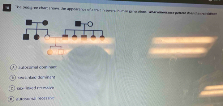 The pedigree chart shows the appearance of a trait in several human generations. What inheritance pattern does this trait follow?
A autosomal dominant
B sex-linked dominant
csex-linked recessive
D autosomal recessive