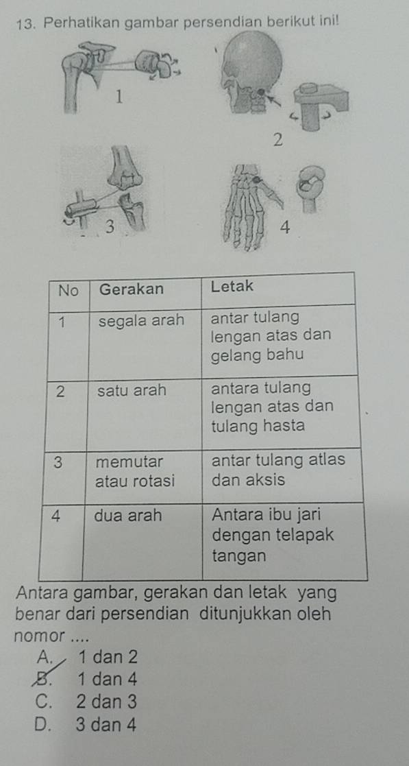 Perhatikan gambar persendian berikut ini!
2
4
ara gak yang
benar dari persendian ditunjukkan oleh
nomor ....
A. 1 dan 2
B. 1 dan 4
C. 2 dan 3
D. 3 dan 4