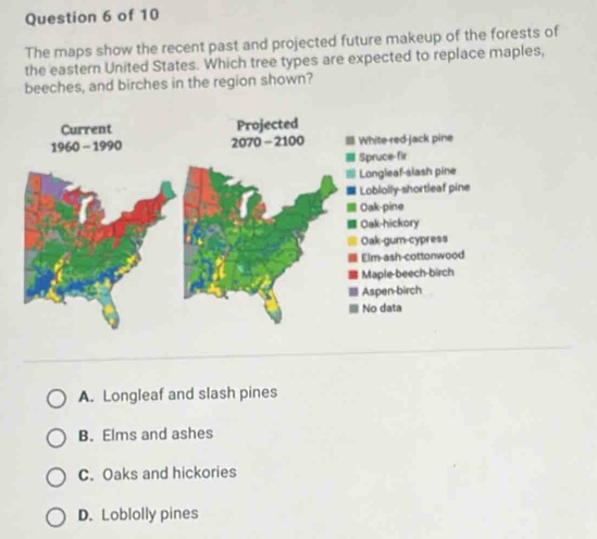 The maps show the recent past and projected future makeup of the forests of
the eastern United States. Which tree types are expected to replace maples,
beeches, and birches in the region shown?
1White-red-jack pine
Spruce-fir
Longleaf-slash pine
Loblolly-shortleaf pine
Oak-pine
Oak-hickory
Oak-gum-cypress
Elm-ash-cottonwood
Maple-beech-birch
Aspen-birch
No data
A. Longleaf and slash pines
B. Elms and ashes
C. Oaks and hickories
D. Loblolly pines