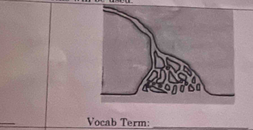 Vocab Term:_