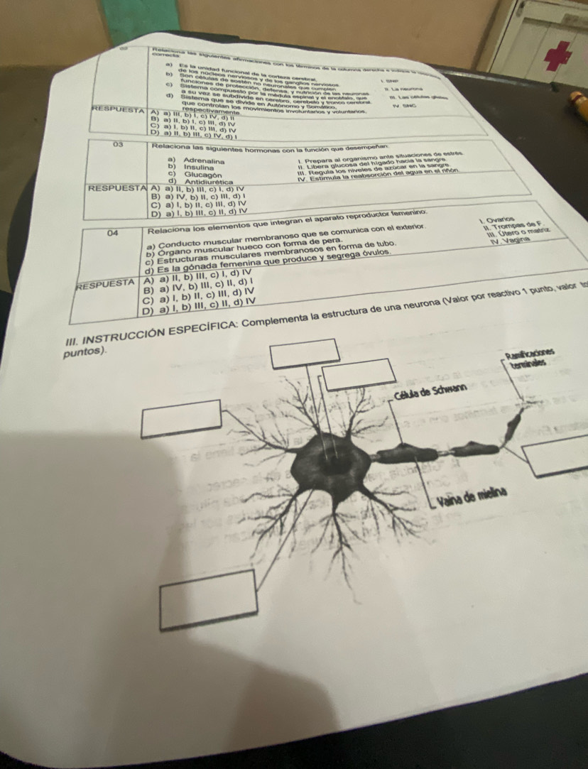 ateooía las sigulentas afmacones con loe tnmos de la aoana aéreia e vsse e l
E. Las cétutes gilutes
RESPUESTA A) a) III, b) I, c) IV, d) I respectivamente
B) a) II, b) I, c) III, d) I
C) a) I, b) II, c) III, d) IV
D) a) II, b) III, c) IV, d) 
03 Relaciona las siguientes hormonas con la función que desempeñan
b) Insulina a) Adrenalina
c) Glucagón
RESPUESTA A) a) II, b) III, c) l, d) l d) Antidiurética IV. Estimula la reabsorción del agua en el nñón
B) a) IV, b) I, c) Ⅲ, d) l
C) a) l, b) il, c) ill, d) i
D) a) l, b) II, c) I, d) Ⅳ
04 Relaciona los elementos que integran el aparato reproductor femenino.
a) Çonducto muscular membranoso que se comunica con el exterior 1. Ovarios
b) Órgano muscular hueco con forma de pera. II. Trompas de F
c) Estructuras musculares membranosos en forma de tubo.
d) Es la gónada femenina que produce y segrega óvulos. III. Útero o matriz IV. Vagina
RESPUESTA A) a) II, b) III, c) l, d) I
B) a) IV, b)I, c) Ⅱ, d) l
C) a) l, b) II, c) III, d) Ⅳ
D) a) I, b) III, c) II, d) IV
III. INSTRUCCIÓN ESPECÍFICA: Complementa la estructura de una neurona (Valor por reactivo 1 punto, valor to
puntos).
