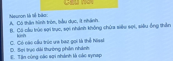 Cau nol
Neuron là tế bào:
A. Có thân hình tròn, bầu dục, ít nhánh.
B. Có cấu trúc sợi trục, sợi nhánh không chứa siêu sợi, siêu ống thần
kinh
C. Có các cấu trúc ưa baz gọi là thể Nissl
D. Sợi trục dài thường phân nhánh
E. Tận cùng các sợi nhánh là các synap