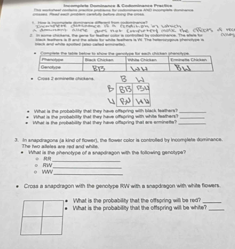 Incomplete Dominance & Codominance Practice 
This wortateet contaira practice problems for codominance AND incomplete dominence 
croases. Rlead each problam carefulty before doing the cross. 
1. How is incomplete dominance diferent from codominance? 
T o 
d é mna n 
2. In some chickens, the gene for feather color is controited by codominance. The allele for 
black feathers is B and the allele for white feathers is W. The heterozygous phenotype is 
black and white spotted (also called erminette). 
Cross 2 erminette chickens. 
What is the probability that they have offspring with black feathers?_ 
What is the probability that they have offspring with white feathers?_ 
What is the probability that they have offspring that are erminette?_ 
3. In snapdragons (a kind of flower), the flower color is controlled by incomplete dominance. 
The two alleles are red and white. 
What is the phenotype of a snapdragon with the following genotype? 
RR_ 
RW_ 
WW_ 
Cross a snapdragon with the genotype RW with a snapdragon with white flowers. 
What is the probability that the offspring will be red?_ 
What is the probability that the offspring will be white?_
