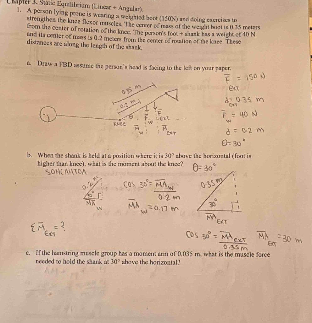 Chapter 3. Static Equilibrium (Linear + Angular). 
1. A person lying prone is wearing a weighted boot (150N) and doing exercises to 
strengthen the knee flexor muscles. The center of mass of the weight boot is 0.35 meters
from the center of rotation of the knee. The person's foot + shank has a weight of 40 N
and its center of mass is 0.2 meters from the center of rotation of the knee. These 
distances are along the length of the shank. 
a. Draw a FBD assume the person’s head is facing to the left on your paper. 
b. When the shank is held at a position where it is 30° above the horizontal (foot is 
higher than knee), what is the moment about the knee? 
c. If the hamstring muscle group has a moment arm of 0.035 m, what is the muscle force 
needed to hold the shank at 30° above the horizontal?