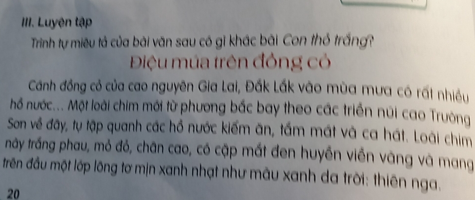 Luyện tập 
Trinh tự miêu tả của bài văn sau có gi khác bài Con thổ trắng? 
Điệu múa trên đông có 
Cánh đồng có của cao nguyên Gia Lai, Đắk Lắk vào mùa mưa có rất nhiều 
hố nước... Một loài chim mới từ phương bắc bay theo các triển núi cao Trường 
Son về đây, tụ tập quanh các hồ nước kiếm ăn, tấm mát và ca hát. Loài chim 
rày trắng phau, mỏ đỏ, chân cao, có cập mắt đen huyễn viễn vàng và mang 
trên đầu một lớp lông tơ mịn xanh nhạt như mẫu xanh da trời: thiên nga. 
20