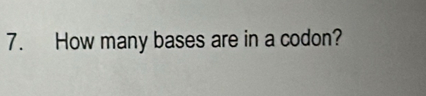 How many bases are in a codon?