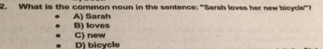 What is the common noun in the sentence: "Sarah loves her new bicycle"?
A) Sarah
B) loves
C) new
D) bicycle