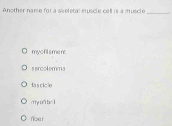 Another name for a skeletal muscle cell is a muscle _ 4
myofilament
sarcolemma
fascicle
myofibril
fiber