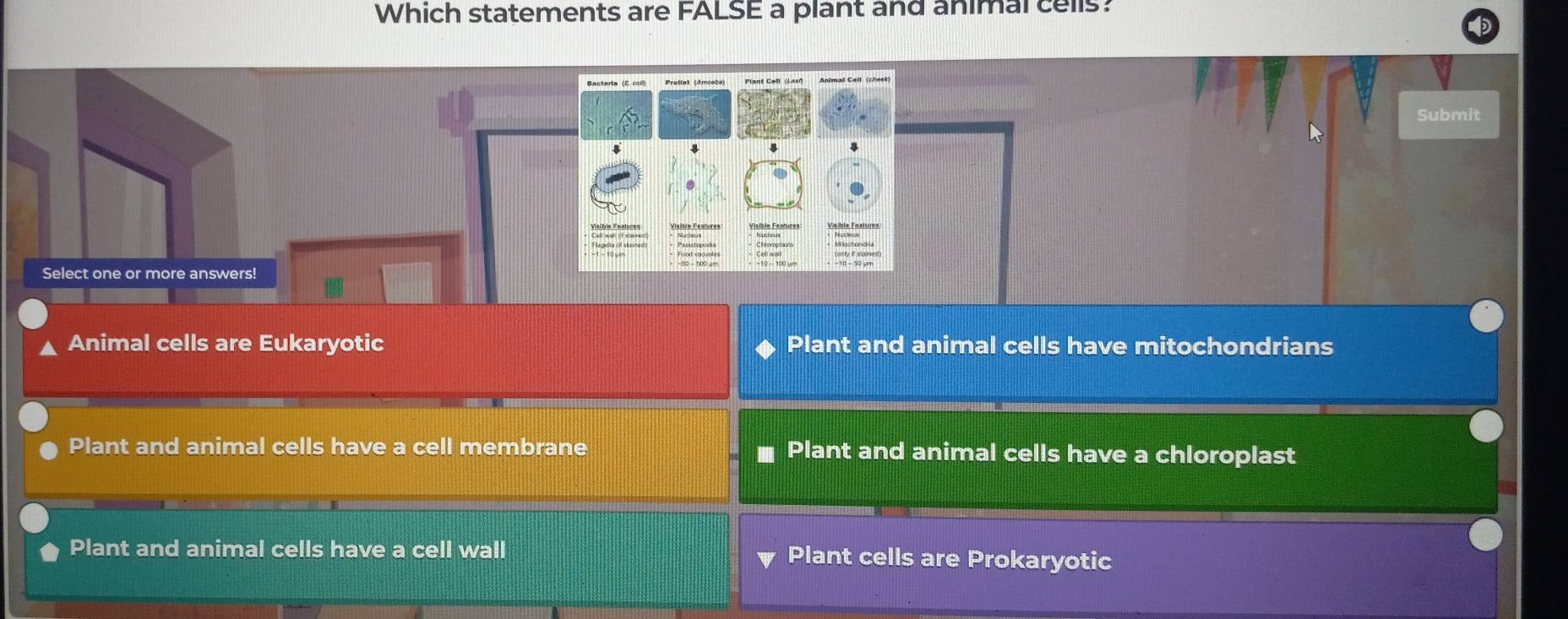 Which statements are FALSE a plant and animal cells?
Protist (Amoeha)
Submit
sety if stainesf)
Select one or more answers!
Animal cells are Eukaryotic Plant and animal cells have mitochondrians
Plant and animal cells have a cell membrane Plant and animal cells have a chloroplast
Plant and animal cells have a cell wall Plant cells are Prokaryotic