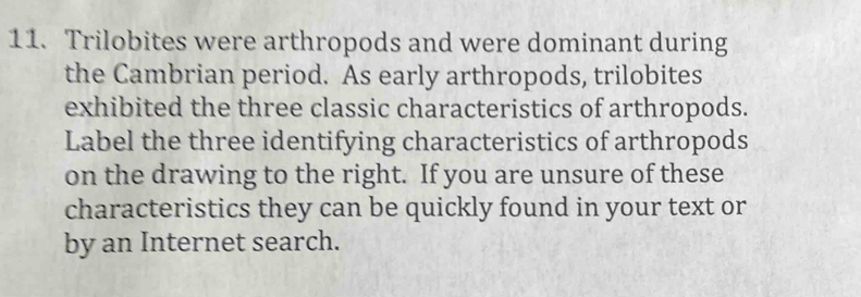 Trilobites were arthropods and were dominant during 
the Cambrian period. As early arthropods, trilobites 
exhibited the three classic characteristics of arthropods. 
Label the three identifying characteristics of arthropods 
on the drawing to the right. If you are unsure of these 
characteristics they can be quickly found in your text or 
by an Internet search.