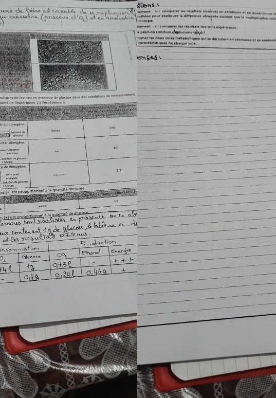 iment , b : comparer les résultats obsérvés en aéroblose et en anaérchlose e 
sothèse pour expliquer la différence observée sachant que la muitiplication calli 
l'énergie. 
cument : comparer les résultats des trois expériences . 
e peut-on conclure d'éptocumenth a ? 
mmer les deux voies métaboliques qui se déroulent en aérobiose et en anaérobé 
caractéristiques de chaque voie. 
cultures de levures en présence de glucose dans des conditions de concentrations 
san 
t d 
vt 
So 
ce d+ L 
_ 
+ 
es (+) est proportion 
Eh l ia on la t ū mie Ln he de manipulation là ) 
+ ' 
à la quantité de el