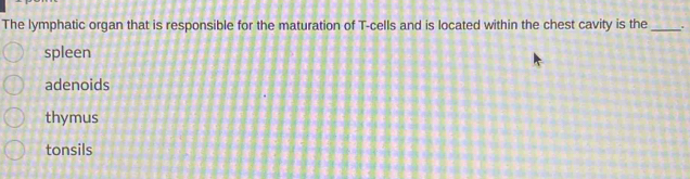 The lymphatic organ that is responsible for the maturation of T-cells and is located within the chest cavity is the _.
spleen
adenoids
thymus
tonsils